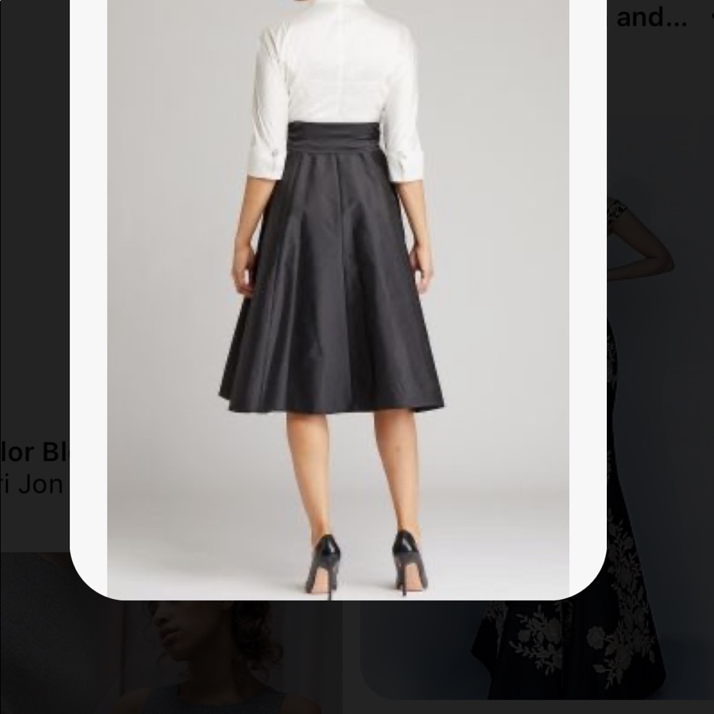 Adrianna Papell 16 Ivory and Black Two-Tone Maxi Dress - Picture 13 of 13